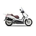 X-CITY 250
