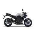 FZ 8